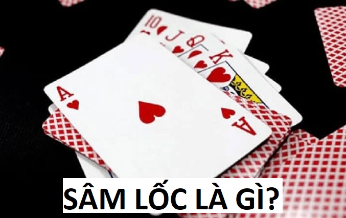 sam-loc-la-gi